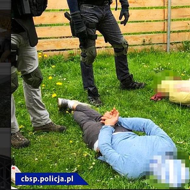 [VIDEO] Uderzenie polskiej CBŚP i policji czeskiej - zlikwidowane plantacje, zabezpieczona marihuana