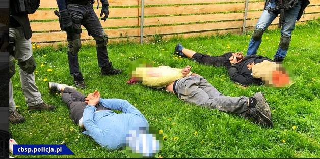 [VIDEO] Uderzenie polskiej CBŚP i policji czeskiej - zlikwidowane plantacje, zabezpieczona marihuana